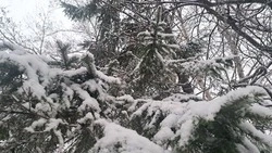 Морозы до -23 градусов ударят по Сахалинской области 4 декабря 