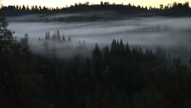 Народные приметы на 20 апреля 2025 года — что нельзя делать в Акулинин день, поверья 