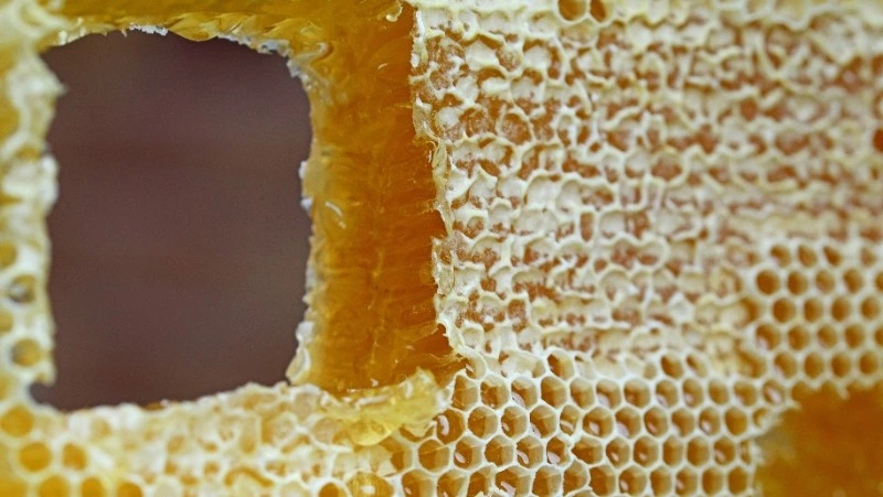 Народные приметы на 14 августа 2024 года: традиции, что можно и нельзя делать на Медовый Спас