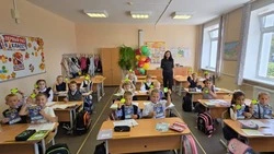 Сотрудники Госавтоинспекции Долинского района в школе села Быков провели мероприятие