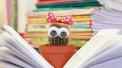 ТЕСТ на общие знания: вы точно учились в школе, если наберете хотя бы 6/9