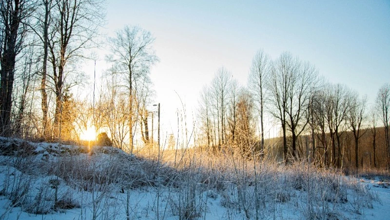 Народные приметы на 10 февраля 2025: что строго нельзя делать в Ефремов день 