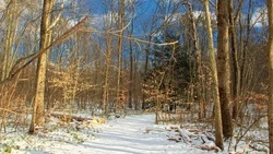 Слабый снег и пронизывающий ветер: погода в Сахалинской области 20 ноября 