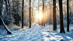 Ясная погода вернется, но похолодает: прогноз погоды в Сахалинской области на неделю