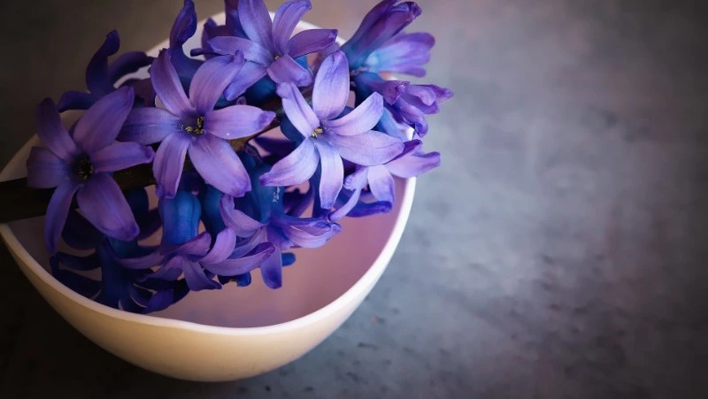 26 марта 2024 года: какие праздники отмечают в России и мире