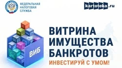 «Витрина имущества банкротов» (ВИБ)