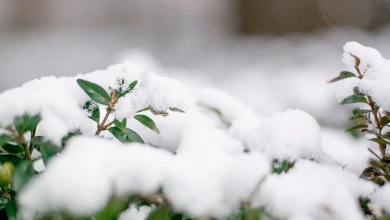 Народные приметы на 18 марта 2024 года: что нельзя делать