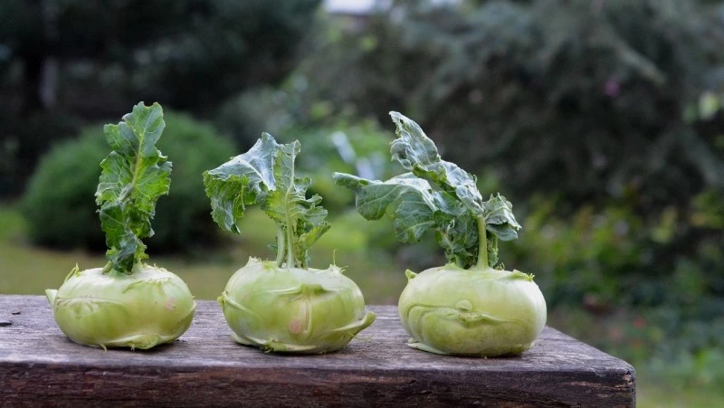 Народные приметы на 24 сентября 2024: что можно и нельзя делать в Федорин день