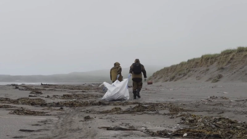 Более 30 тысяч волонтеров работают в Сахалинской области