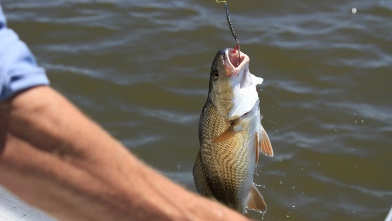 Народные приметы на 25 июня 2024 года: традиции, что можно и нельзя делать в день Петра Солнцеворота