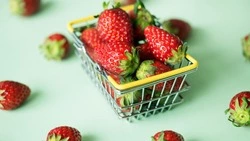 Тест: ваша внимательность хуже, чем у ленивца, если не найдете корзинку за 10 секунд 