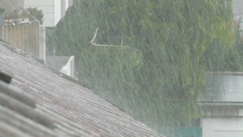 Сильные осадки ожидаются в Сахалинской области 23 августа