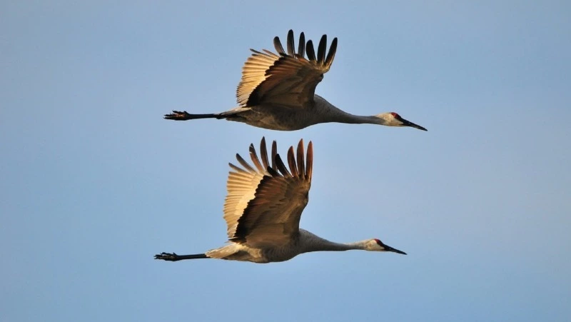 Народные приметы на 17 апреля 2025: что строго нельзя делать в день Иосифа Песнопевца   