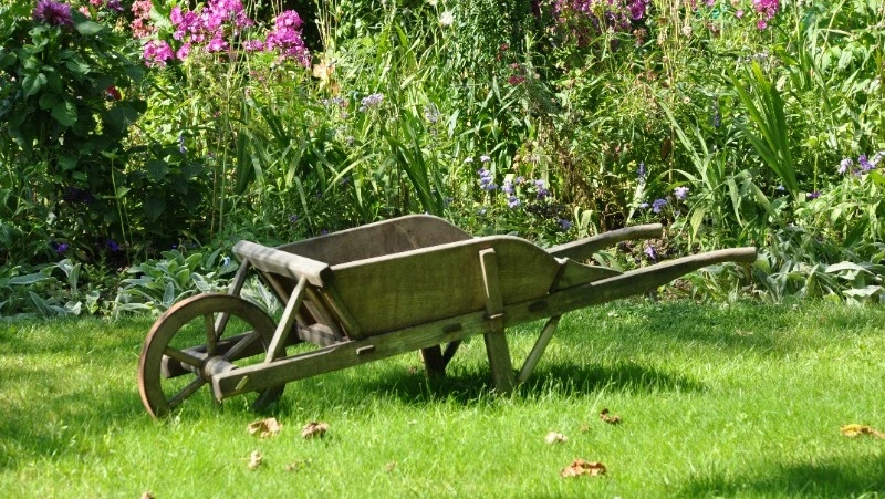 Осия Колесник: народные приметы, традиции, что нельзя делать 30 октября 2024 года