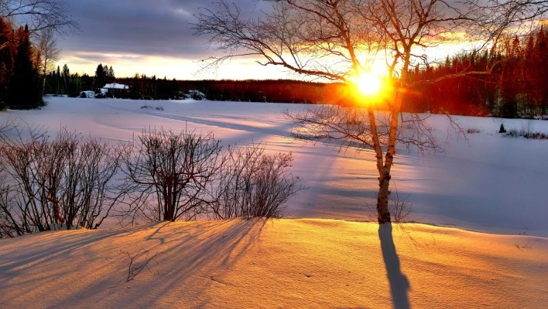 Народные приметы на 29 марта 2024 года: что нельзя делать 