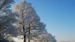 Слабый снег и повышение температуры до +2 градусов: погода на Сахалине и Курилах 19 декабря  