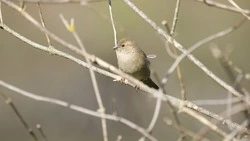 Народные приметы и поверья на 29 марта 2025 года — что нельзя делать в Саввин день 