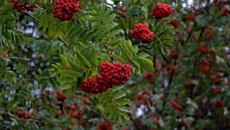 Народные приметы на 10 августа 2024 года: традиции, что можно и нельзя делать в этот день    