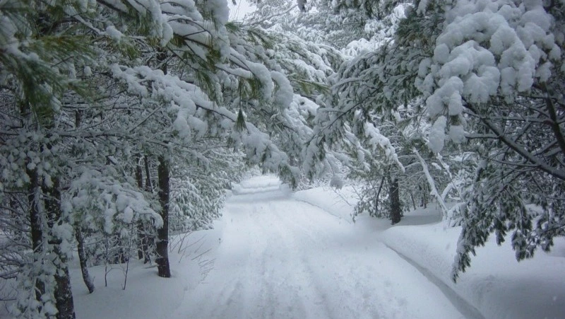 Народные приметы на 13 января 2025 года — что строго нельзя делать в этот день 