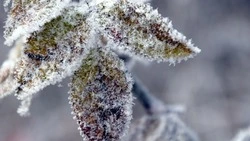 Ветер усилится до 20 метров в секунду: прогноз погоды в Сахалинской области на 28 ноября      