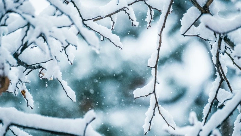 Синоптики дали прогноз погоды в Сахалинской области на 6 марта 