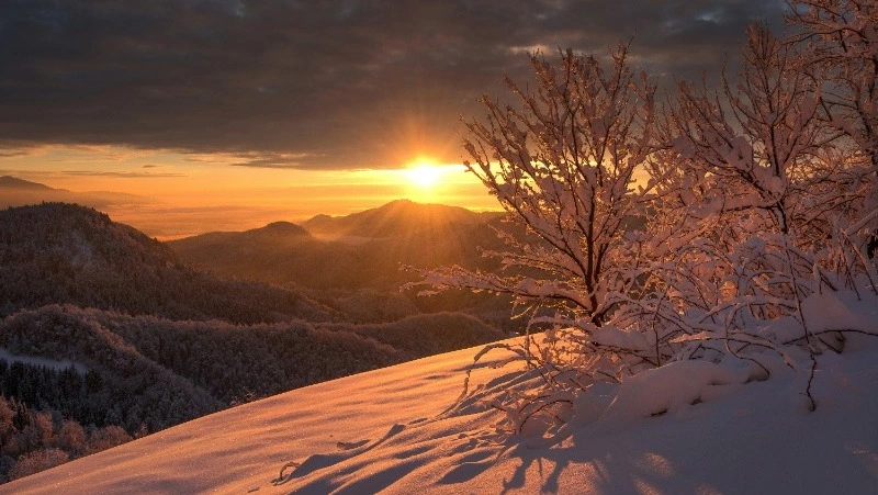 Приметы и поверья на 1 марта 2025: что можно и нельзя делать в Ярилин день 