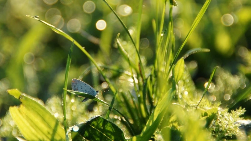 Народные приметы и поверья на 22 июня 2025 года: что нельзя делать в Кириллин день 