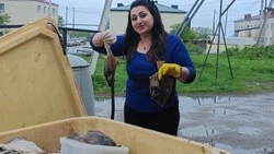 За полгода долинцы съели более 25 тонн доступной рыбы 