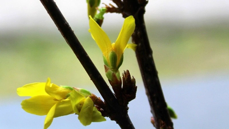 Народные приметы на 24 апреля: что нельзя делать в этот день 